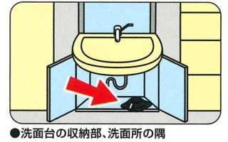 洗面台の収納部、洗面所の隅