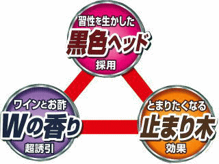 3�̓���